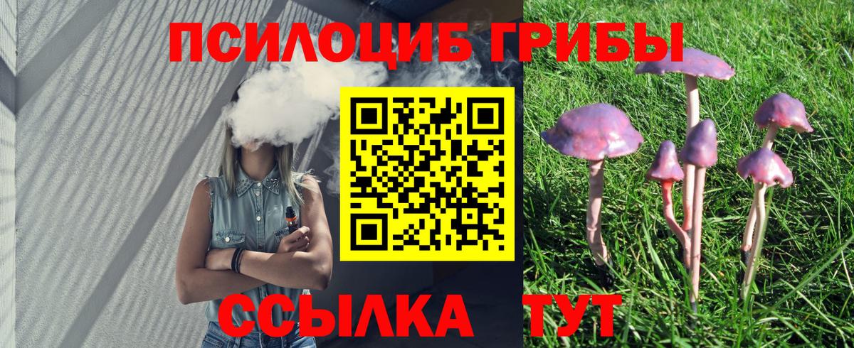 Псилоцибиновые грибы Cubensis Железноводск